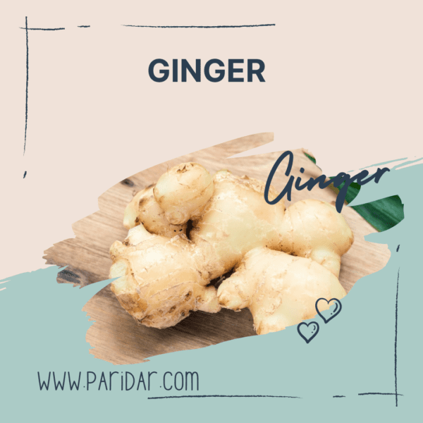 Ginger