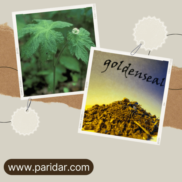 Goldenseal