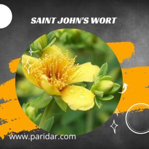 Saint John's wort