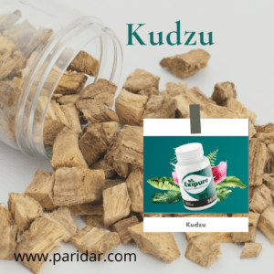 Kudzu 