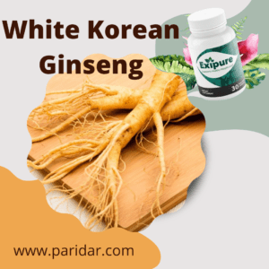 White Korean Ginseng